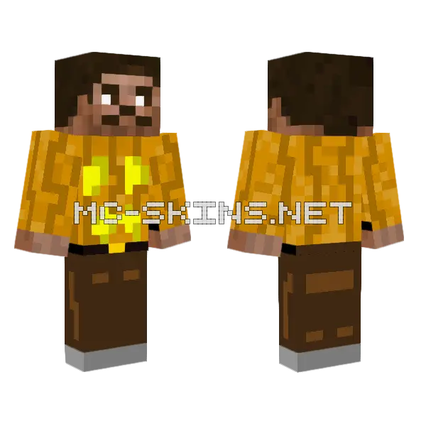 2013 Pic1511 Minecraft skin, front and back