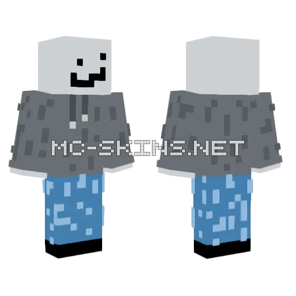 323223233445sdasddsadsag43234343423 Minecraft skin, front and back