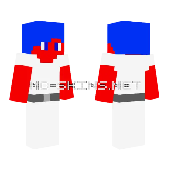 4th Of July Minecraft skin, front and back