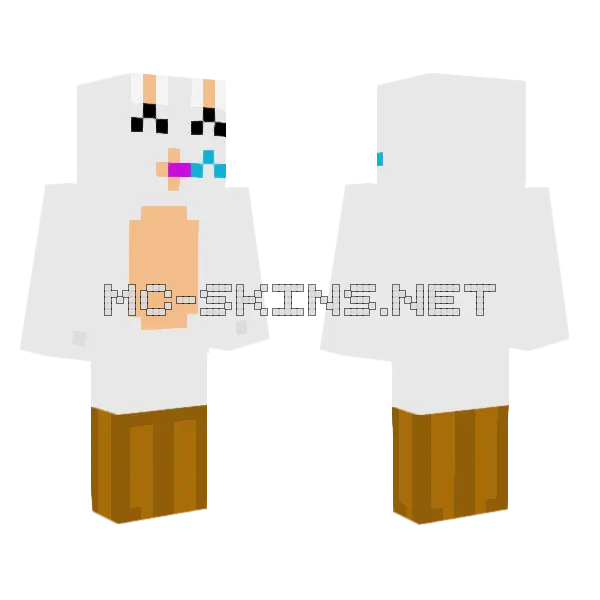 5 Followers Minecraft skin, front and back
