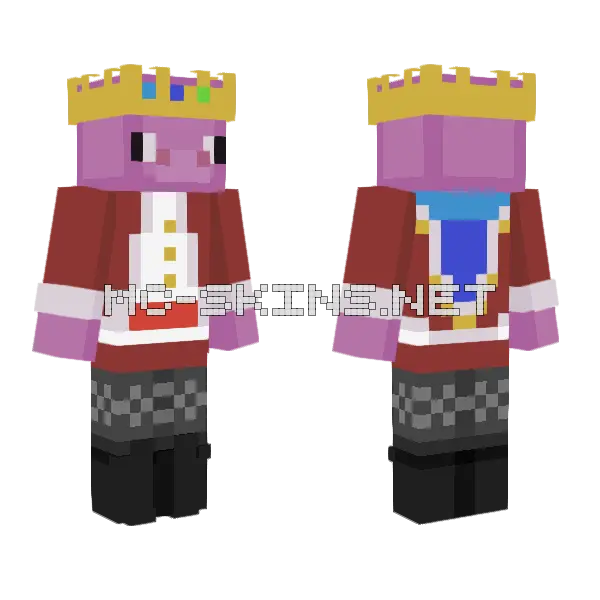 5k Dollar Fridge Minecraft skin, front and back