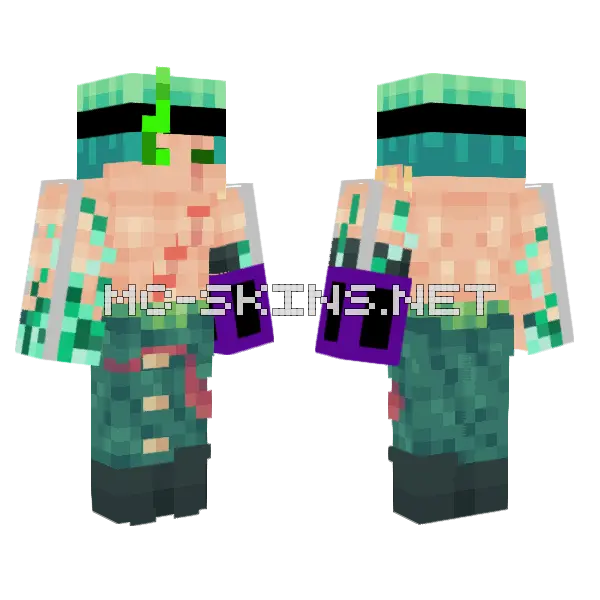 Abcdef Zoro Minecraft skin, front and back