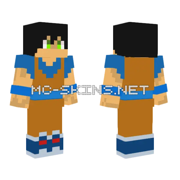 Ace Matthew Turtle Gi Minecraft skin, front and back