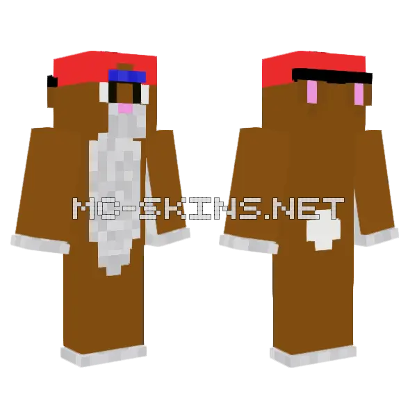 Acebasket9697 Skin Minecraft skin, front and back