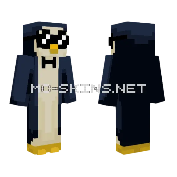 Adventure Time Gunter Minecraft skin, front and back