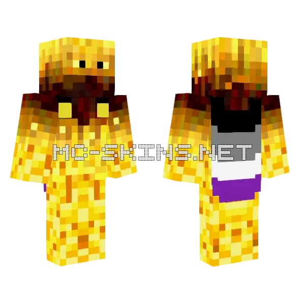 Agnivo Krp Pride Month Minecraft skin, front and back