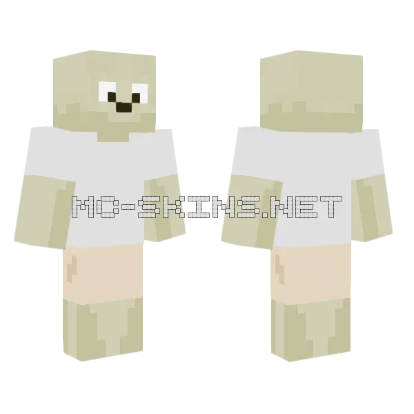 Ai Socrates Skeleton Minecraft skin, front and back