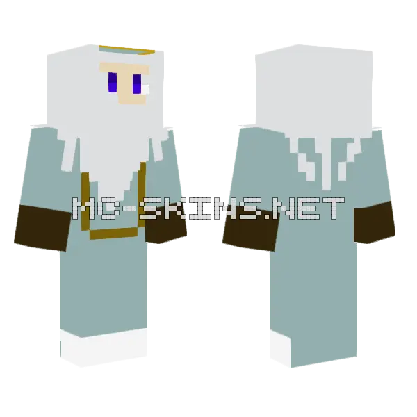 Albus Percival Wulfric Brian Dumbledore Minecraft skin, front and back