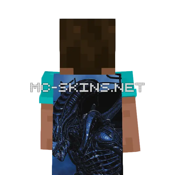 Alien cape, outside and lining
