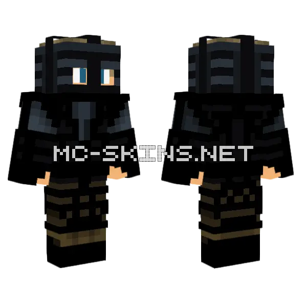 All Around Minecraft skin, front and back