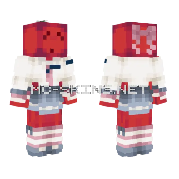 Allincy Red Outfit Minecraft skin, front and back