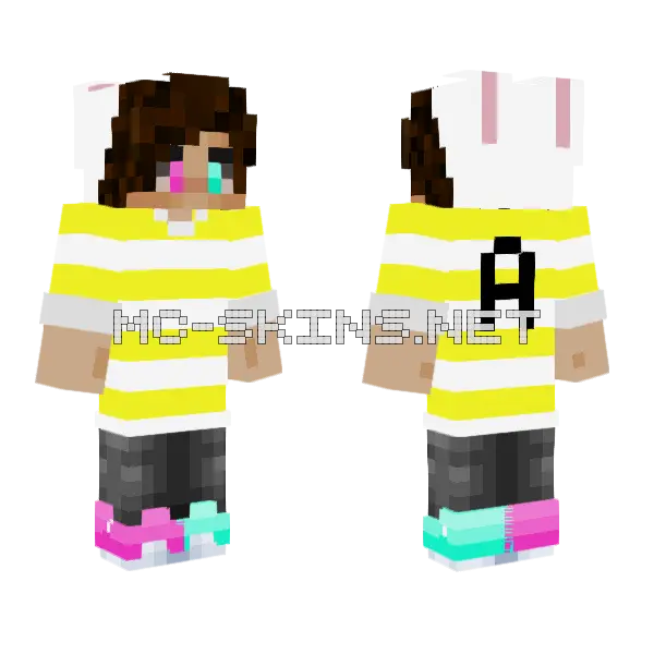 Alvinkai V 2 Minecraft skin, front and back