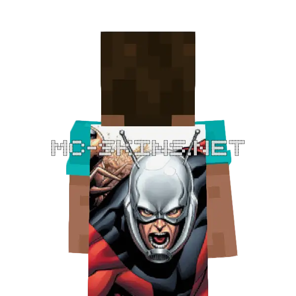 Ant-Man cape, outside and lining