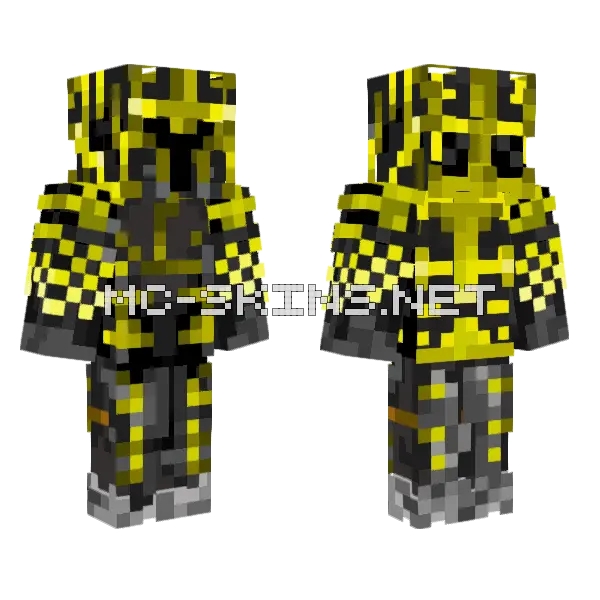Any Advice Minecraft skin, front and back