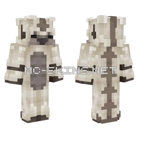 Appa Minecraft skin, front and back