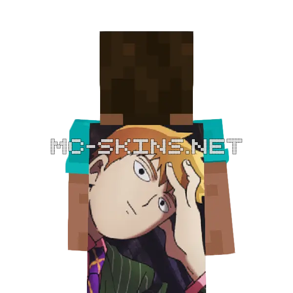 Arataka Reigen cape, outside and lining