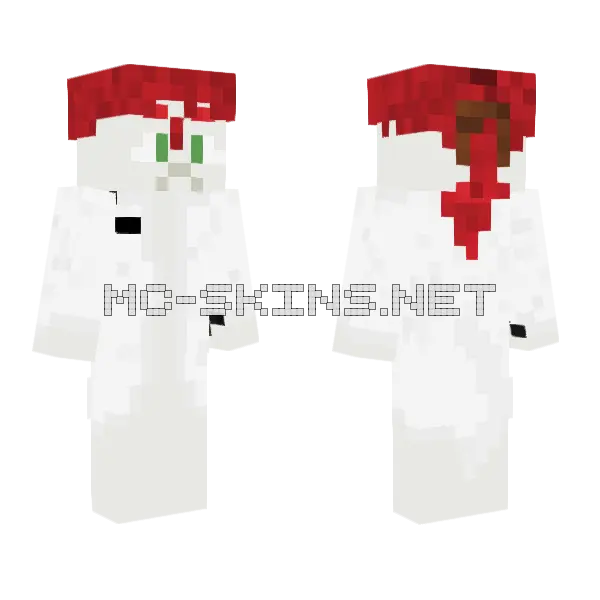 Argemia Armuntela Votv V2 Minecraft skin, front and back