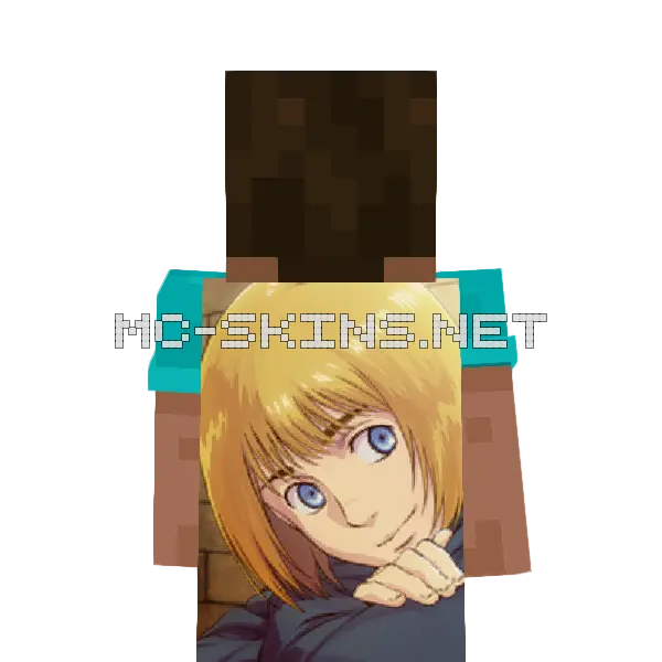 Armin Arlert cape, outside and lining