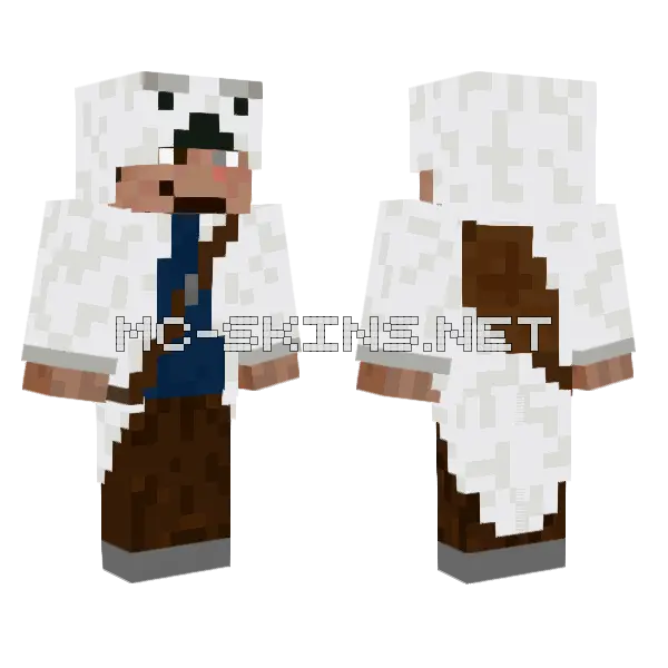 Artic Pic Minecraft skin, front and back