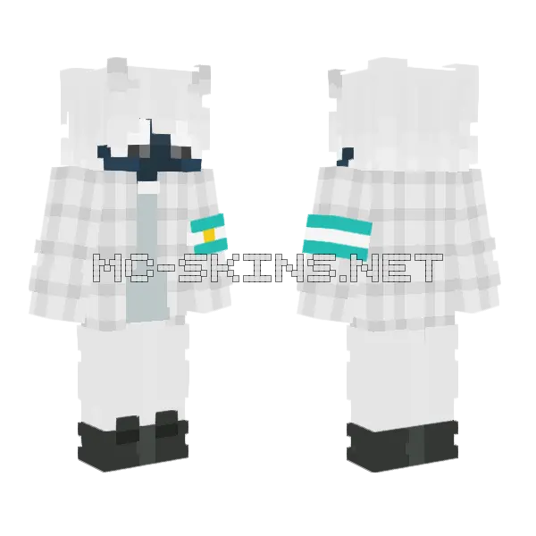 Asasasasa Minecraft skin, front and back