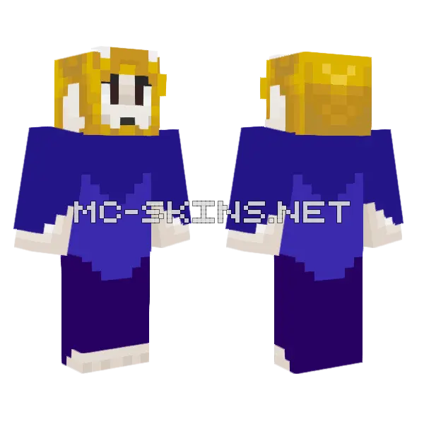 Asgore Robes Minecraft skin, front and back