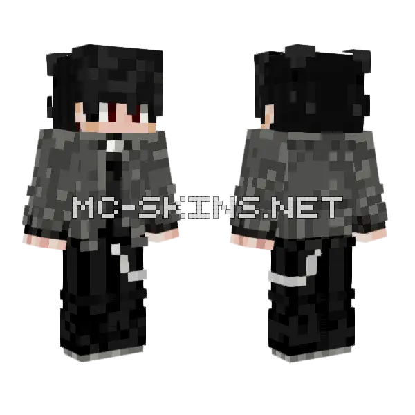 Ashelsis Minecraft skin, front and back