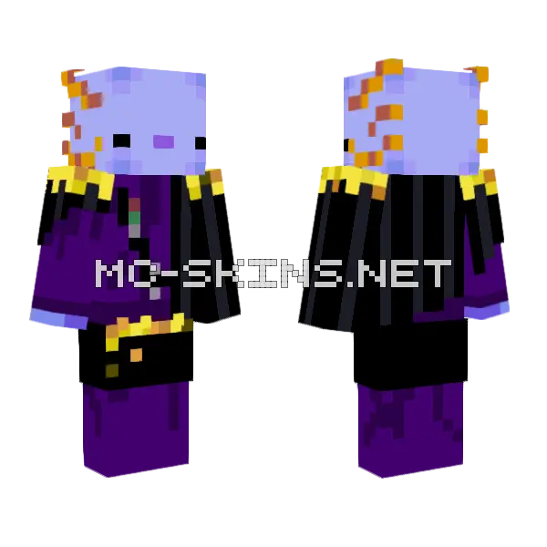 Ashswagg Axolotl Minecraft skin, front and back