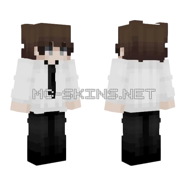 Ashw Minecraft skin, front and back