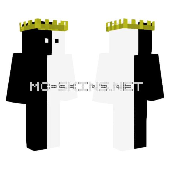 Aspect2wild Minecraft skin, front and back