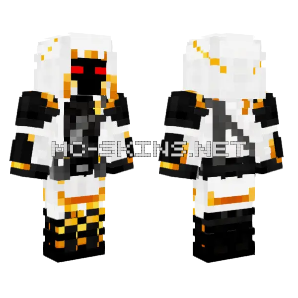Assassin Entity 303 Minecraft skin, front and back