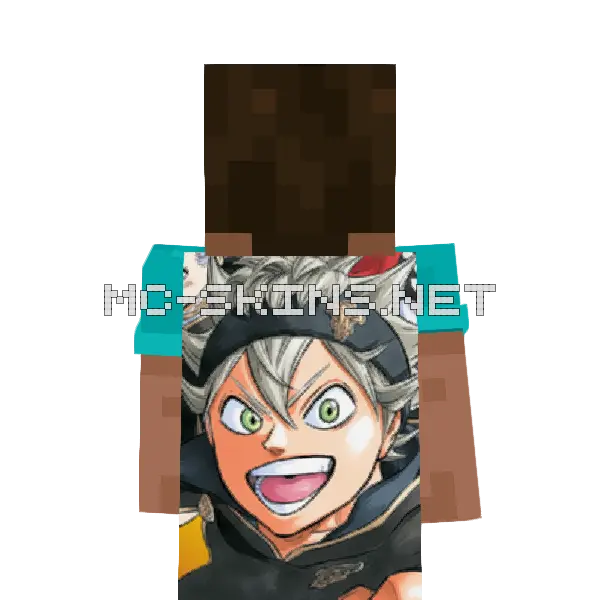 Asta cape, outside and lining