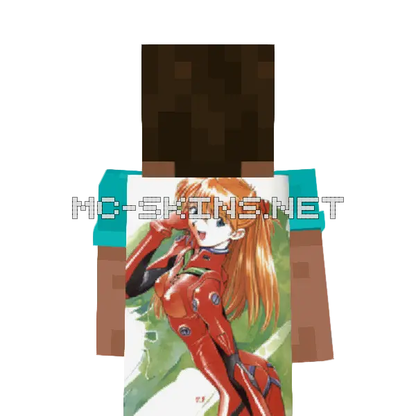 Asuka Langley cape, outside and lining