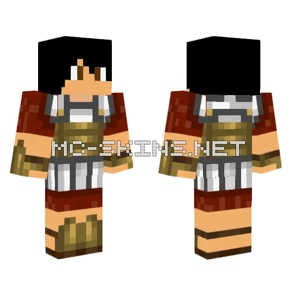 Axelraid71 Troyano Minecraft skin, front and back