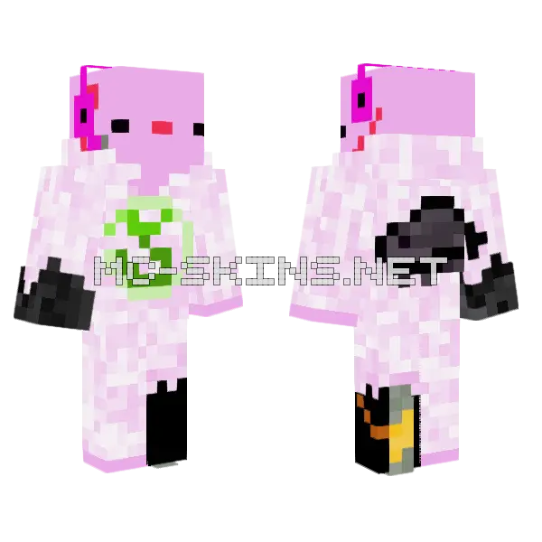 Axodragon With Turtle Minecraft skin, front and back