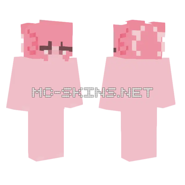 Axolotl Girl Ribbons Minecraft skin, front and back