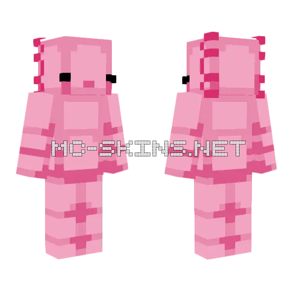 Axolotl Hive Style Minecraft skin, front and back