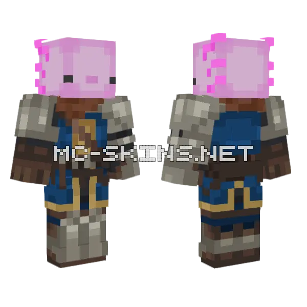 Axolotl Knight Minecraft skin, front and back