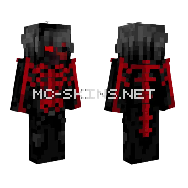 Aytraxion Skin Minecraft skin, front and back