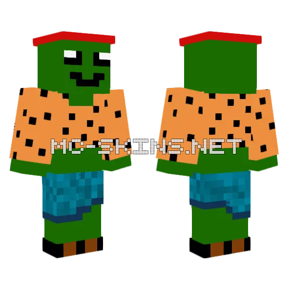 Azerqs Minecraft skin, front and back