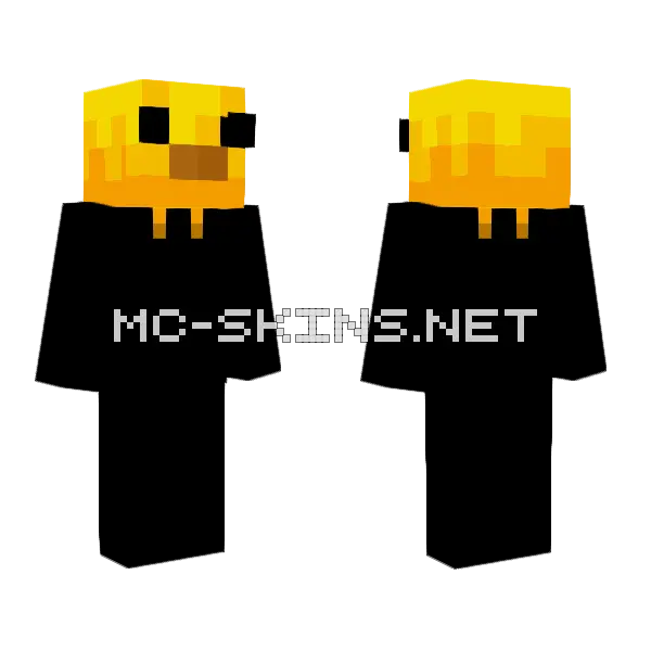 Baby Chikn Bobston Minecraft skin, front and back