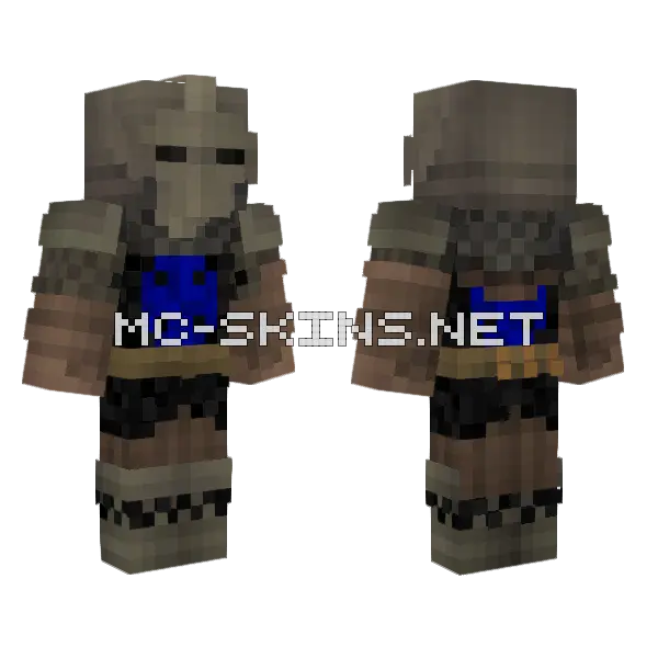 Baldari Druzhina Minecraft skin, front and back