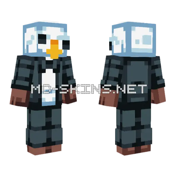 Baldeagleman Youtube Dude Minecraft skin, front and back