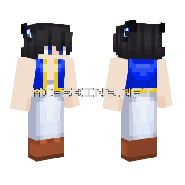 Barry Toad Minecraft skin, front and back