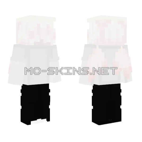 Bedrott Duskydemise Minecraft skin, front and back