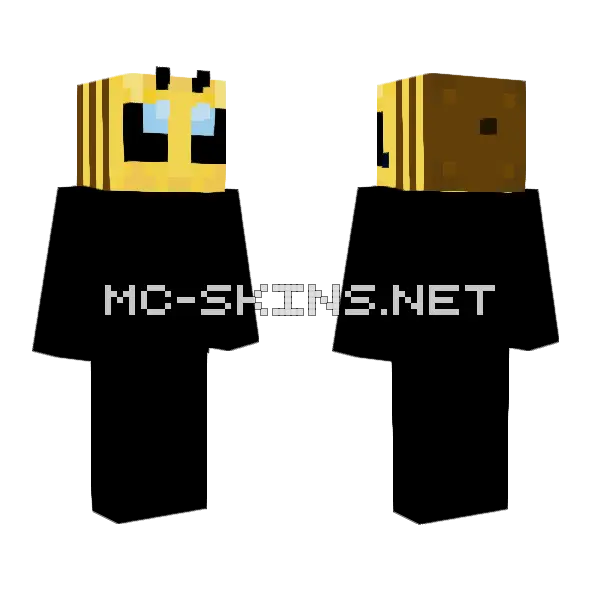 Bee Boy, front and back