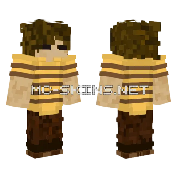 Bee V4 Minecraft skin, front and back