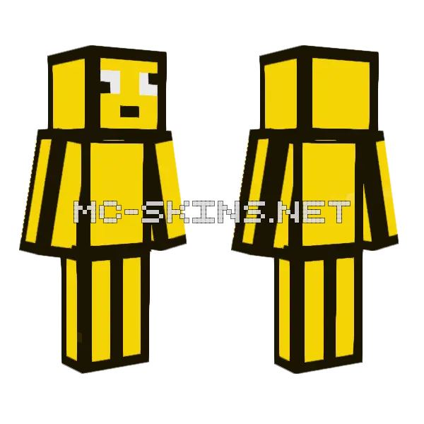 Benbvb Minecraft skin, front and back