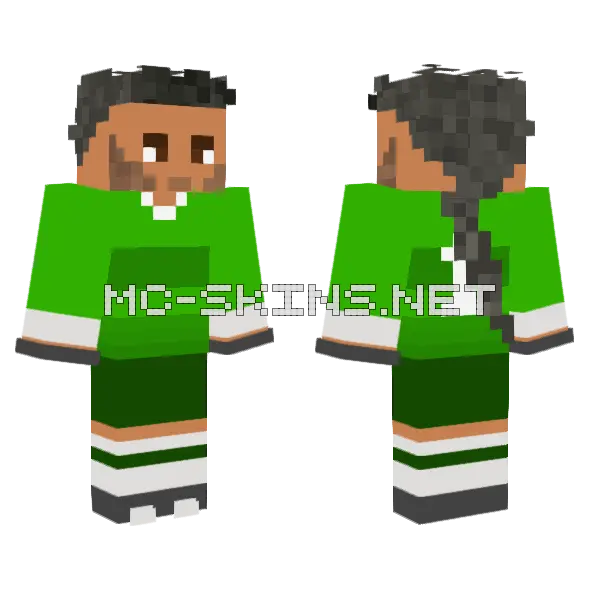 Big Pinto Minecraft skin, front and back