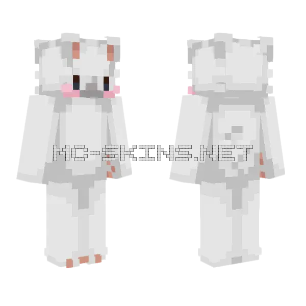 Big Surprise Minecraft skin, front and back
