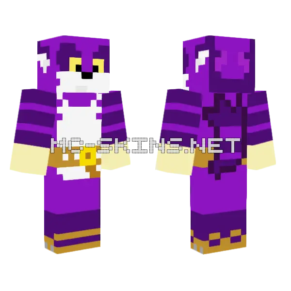 Big The Cat Minecraft skin, front and back